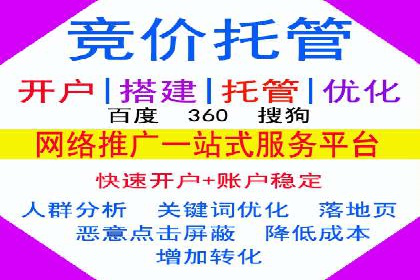 成功案例：专业SEM托管助力电商销售额翻倍